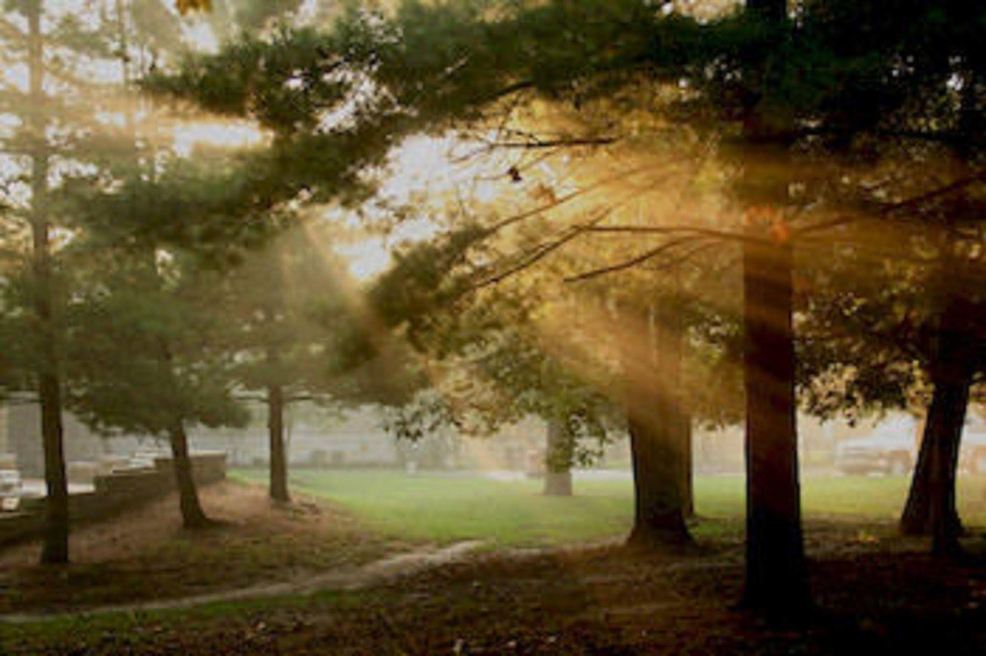 Starved Rock Lodge & Conference Center Utica エクステリア 写真